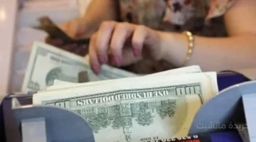 هدوء حذر.. سعر الدولار يسجل آخر تحديث قبل العطلة الأسبوعية 1